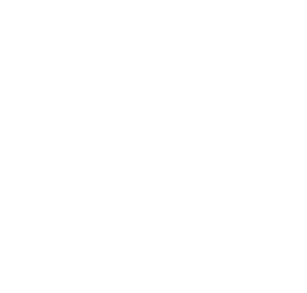 mixomania fest